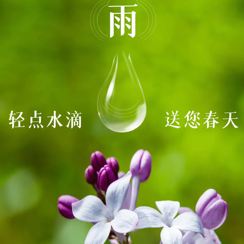 “好雨生百谷，春梅润童心”——童年幼儿园二十四节气主题活动