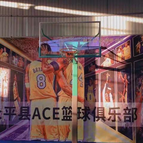 ACE篮球培训🏀