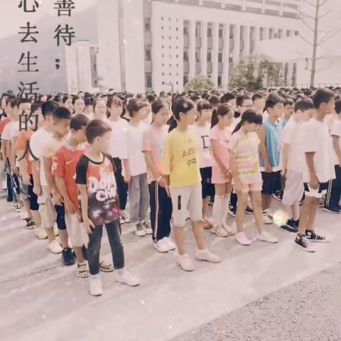 这三年——记录麦苗成长点滴