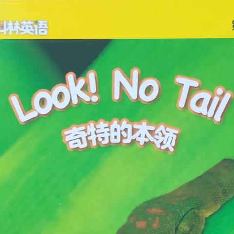 《Look!No tail》教学反思