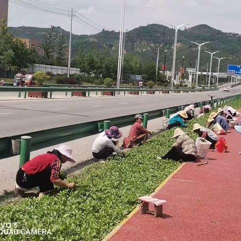 【咸宜关林场】强管护，促生长，静待百花齐放。