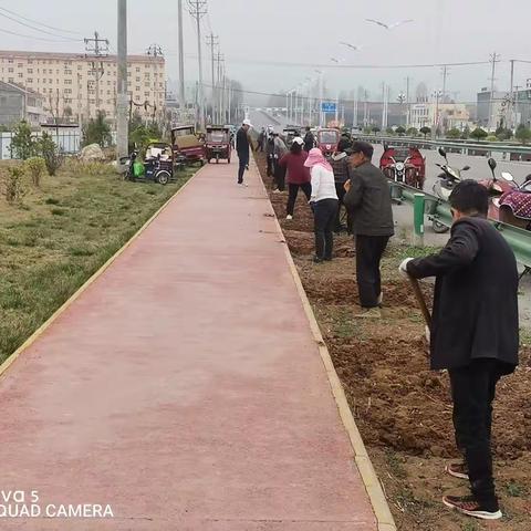 莺飞草长四月天，花草种植正当时