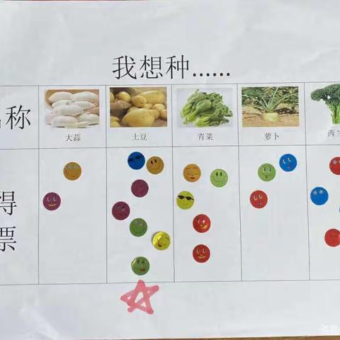 “土豆遇见美好孜味”———开发区艾乐幼儿园中二班孜然土豆火腿丁