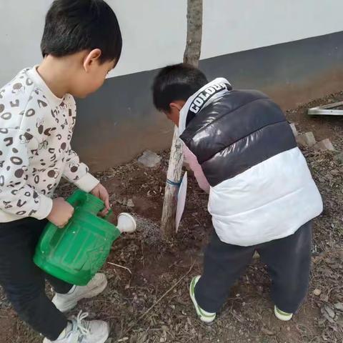 马兰小学附属幼儿园植树节美篇