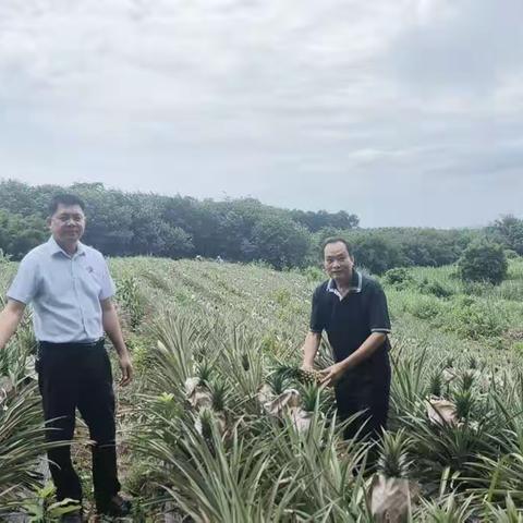 当好帮扶“推销员”消费助农促振兴