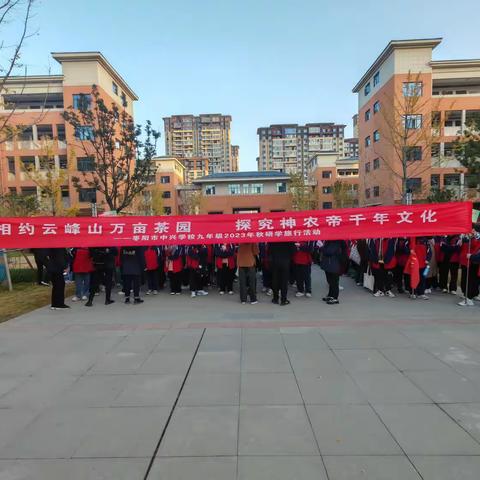 相约云峰山万亩茶园，探究神农帝千年文化——枣阳市中兴学校 九（4）班秋季研学游活动