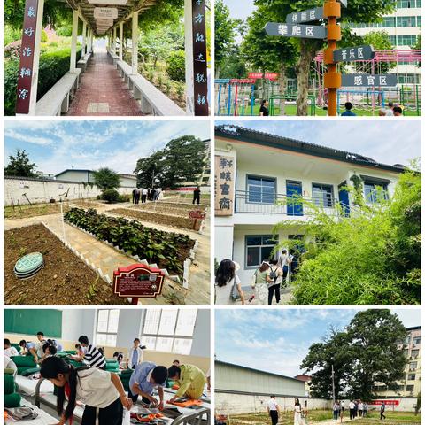 夏日绿映红  采撷归来时—洛龙区课题组成员赴灵宝市学习之旅