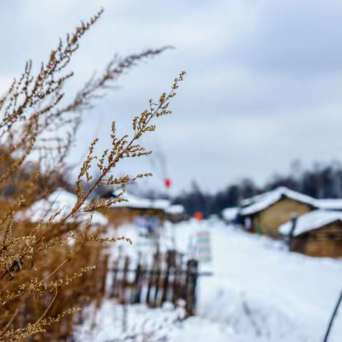 凤凰街道办事处第二幼儿园冬季研学活动《童见冰雪营·从雾凇到雪原（6天）》