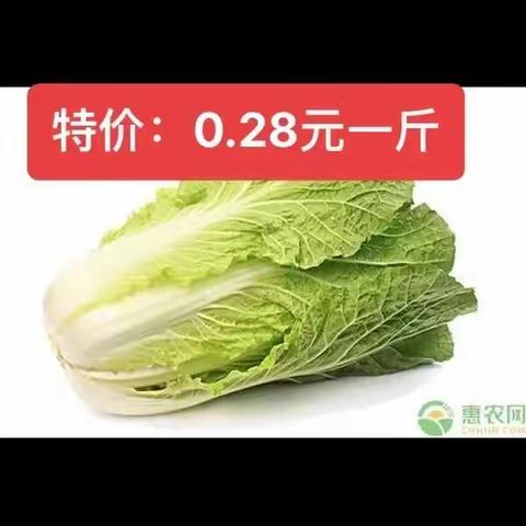 年货狂欢购，精品多多快快选购……