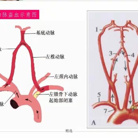 【“三抓三促”行动进行时】抓学习 、促提升、优服务——记神经内科护理业务查房