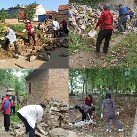 牛泉镇向阳村:整治环境卫生