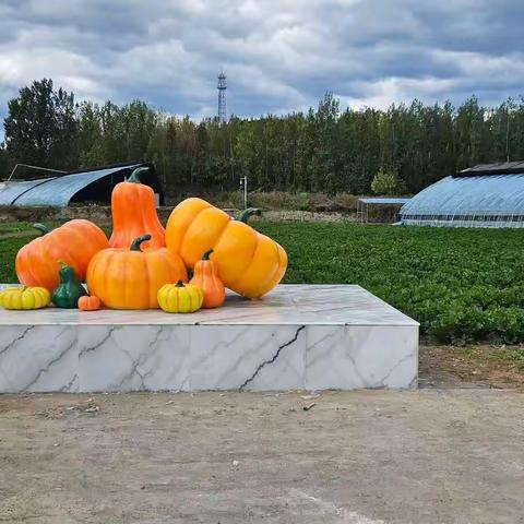 中国健康好乡村助力乡村振兴 走进密云@北穆家峪村