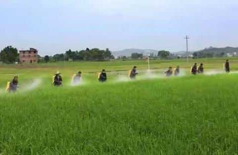 打完药就下雨，到底要不要重喷？