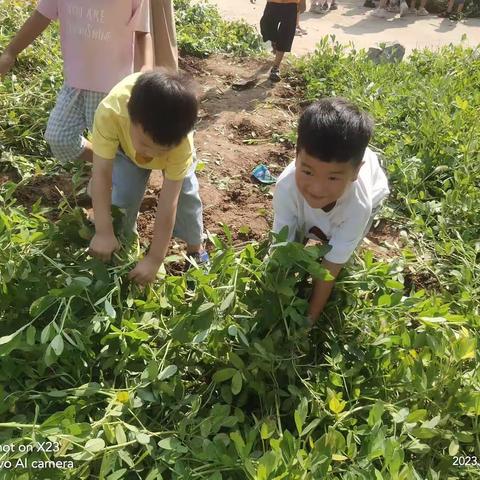趣味横生，乐在其中——马家坟幼儿园劳动实践课