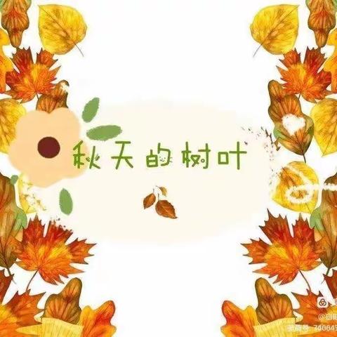 立立幼儿园大一班“落叶🍂知秋，与秋天共舞”亲子活动