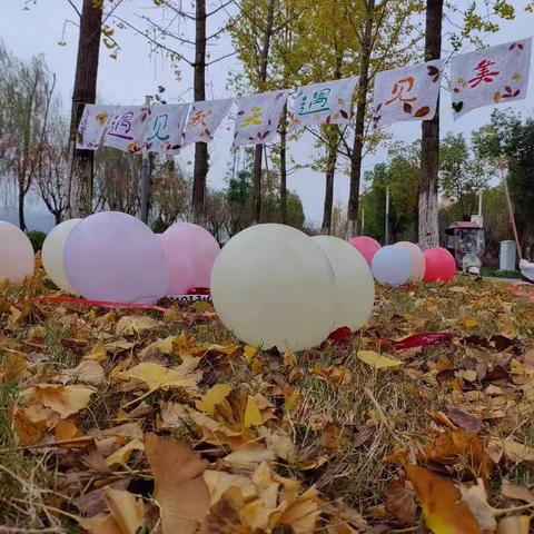 “遇见秋天，遇见美”—鸿志幼儿园小中班组活动户外课堂