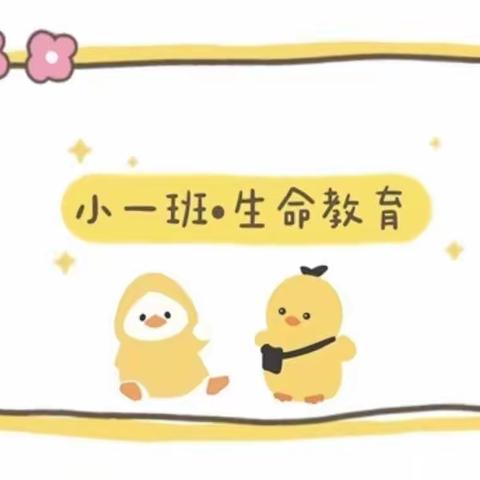 你好，小鸡🐥——乐群分园生命教育