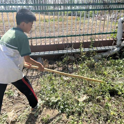 王寨子小学——芒种时节耕种忙