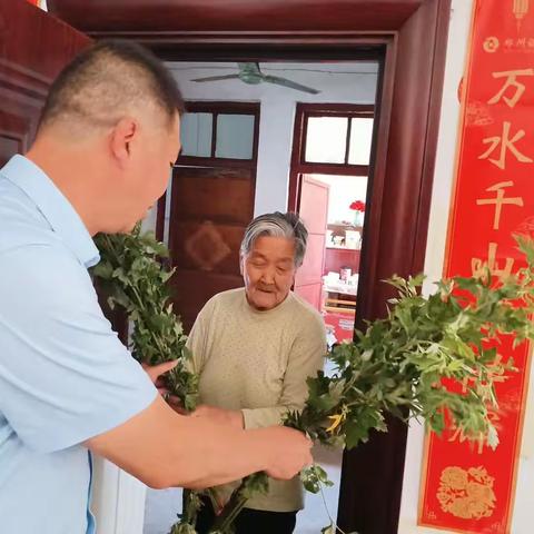 送“艾”上门，情暖万家                 —文化街社区端午节主题活动