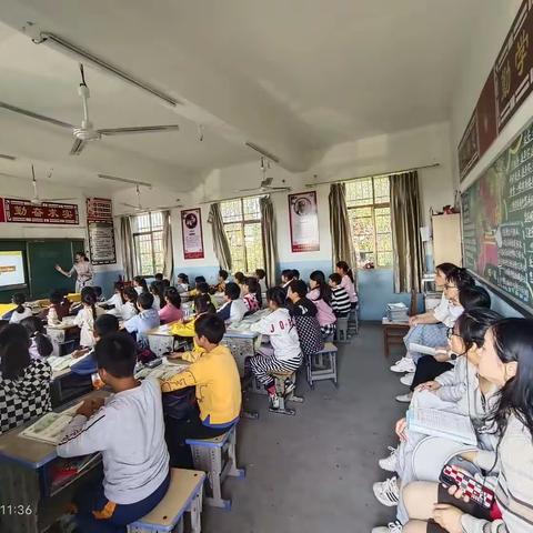 “凝心聚力，让英语教学绽放美丽”——罗湖中心小学新课标英语教研活动