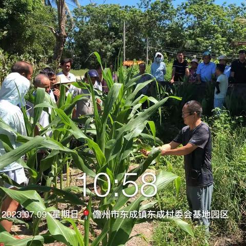 2023年东成镇农村残疾人实用技术培训（1）班