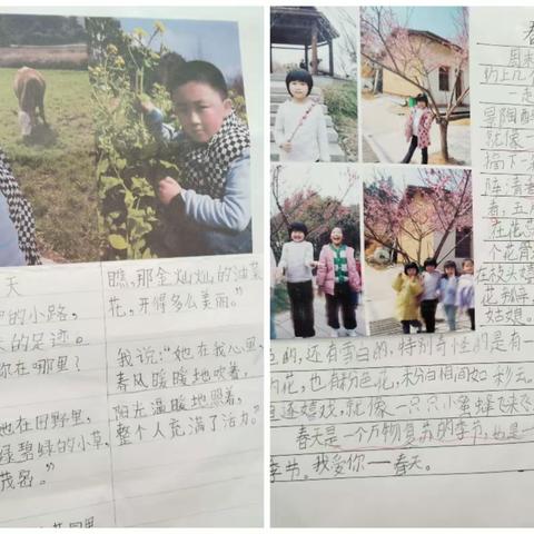 二年级下册语文实践活动