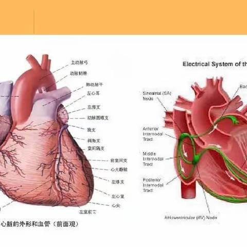 阳煤总医院心内三开展心肺运动项目