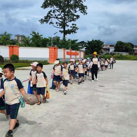 ✨初探小学，礼遇成长👣—— 上林县城北幼儿园