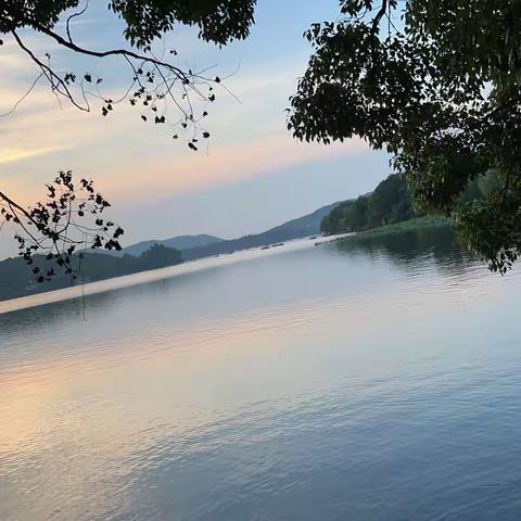 用专业与爱让残缺花蕾绽放