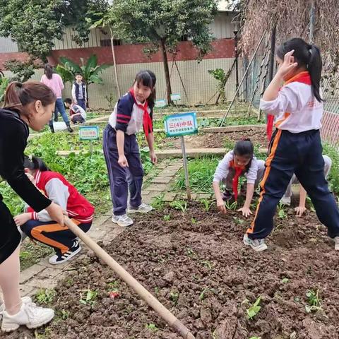分享劳动的快乐