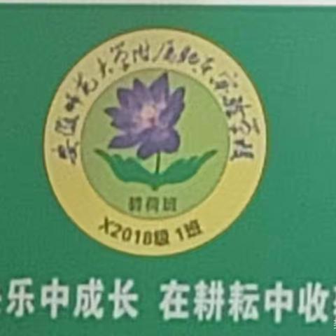 追风赶月莫停留，平芜尽处是春山