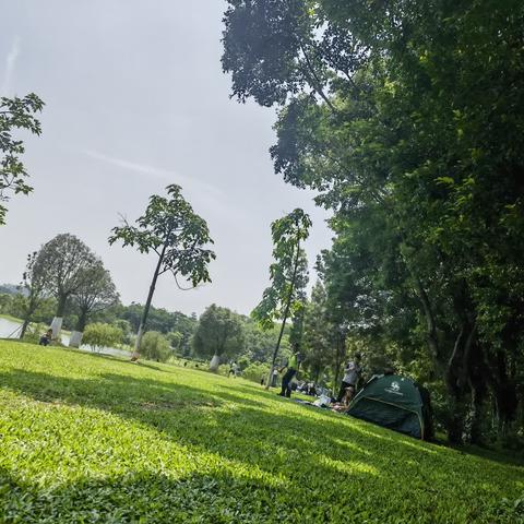 夏日里的植物园