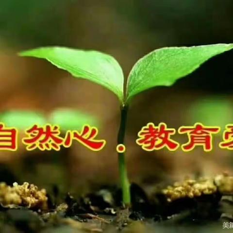 佳禾幼儿小三班生活主题———《蚂蚁王国》