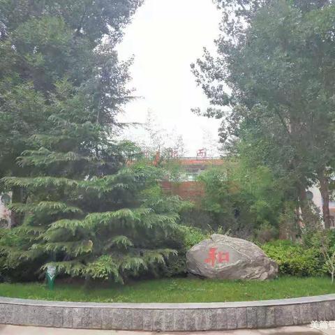 龙华中心小学开展“学习二十大，争做好队员”中队主题队会活动