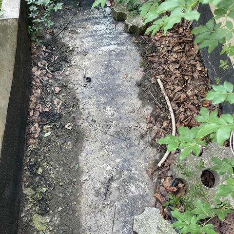 营造舒适环境，兴水物业在行动