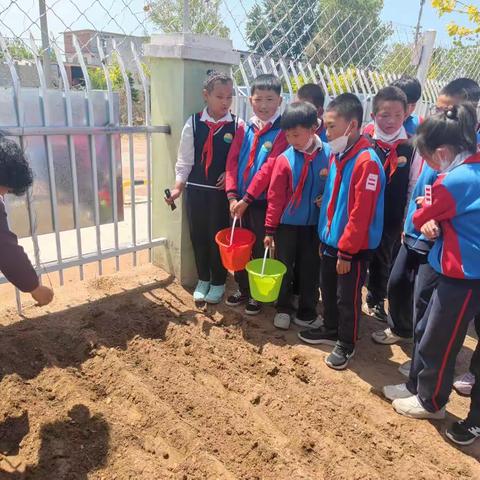劳动砺心智 实践促成长——土城小学劳动教育活动