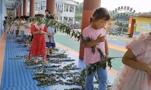 芒果班端午节 玩转《艾草》