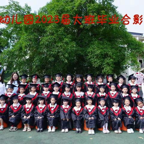 记忆留“夏”，时光有你——草街幼儿园大班毕业季课程故事