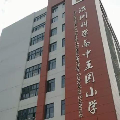 迎新春，净校园——深圳科学高中五园小学2023-2024学年第二学期开学前卫生大扫除