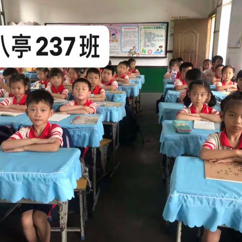 双减助成长，书法润童心——三八亭小学237班书法课后服务课程展示