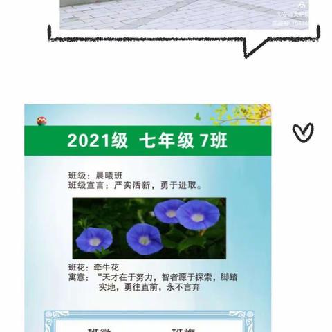 安徽师范大学附属肥东实验学校八（7）班2022——2023学年度第二学期班级工作总结