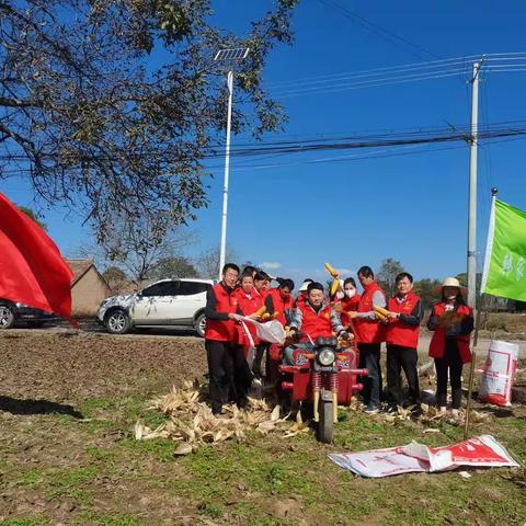 党旗飘扬映初心  助农抢收解民忧——韩家镇开在“田间地头”的主题党日活动