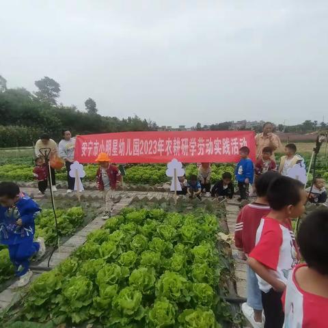 安宁市小明星幼儿园招生啦🎉安宁市小明星幼儿园2023年农耕研学劳动实践活动🎈