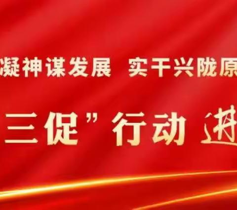 【城关街道昌灵路社区“三抓三促”进行时 】立足根本稳就业 多措并举促就业