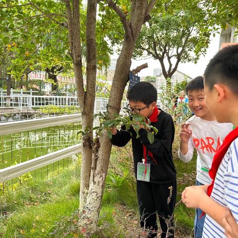 翰墨飘雪，文心飞扬 ——云阳小记者3社团简报