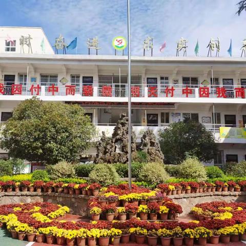 以法为盾，护航青春——付店镇初级中学法制教育讲座