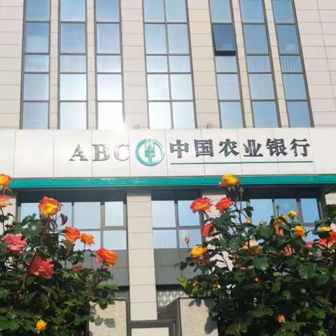 廊坊农行启动“百组千人进乡村 齐心协力打假币”专项宣传活动