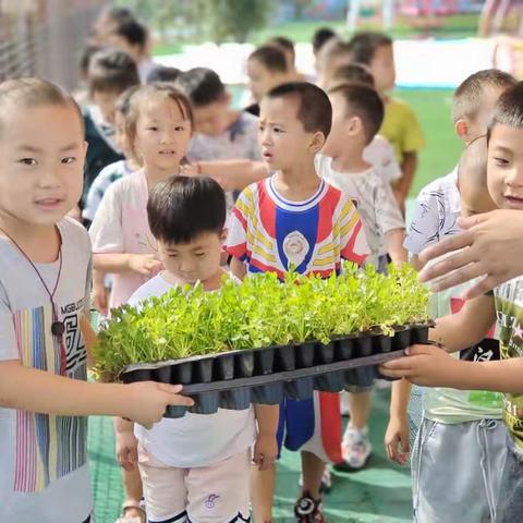 大二班种植课