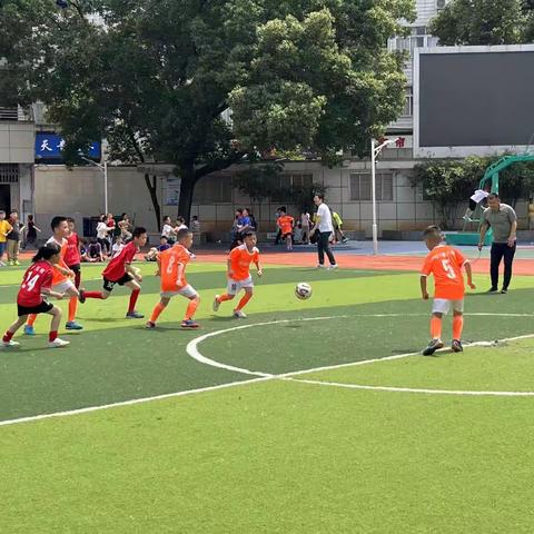 鲜花怒马少年时——湖滨小学二（8）班足球小将绿荫风采掠影