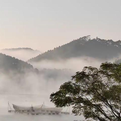 采颉归来  共享芬芳“研”途有光 ，“语”君共赏